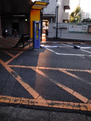 ヒカリサス