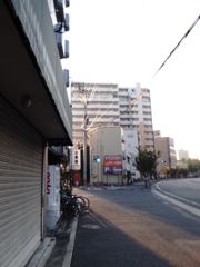 ヒカリサス２
