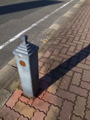 ほわっ、と色が浮き立つ