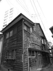 ビルの谷間に息づく