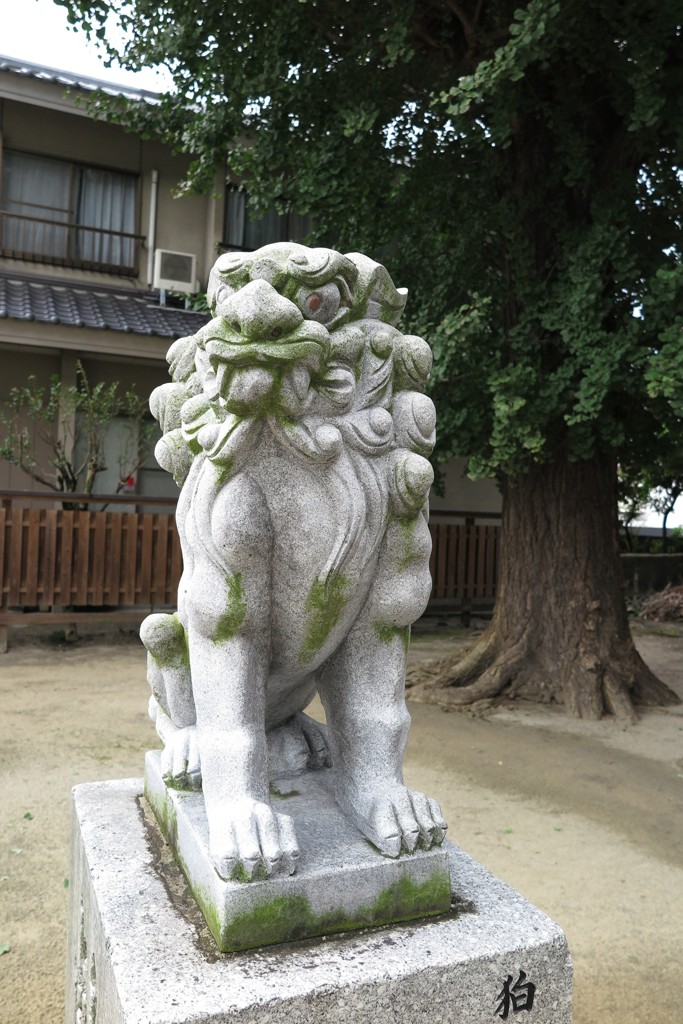 狛犬