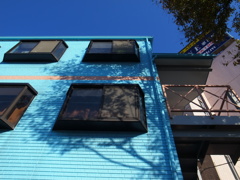 ビビットな午後