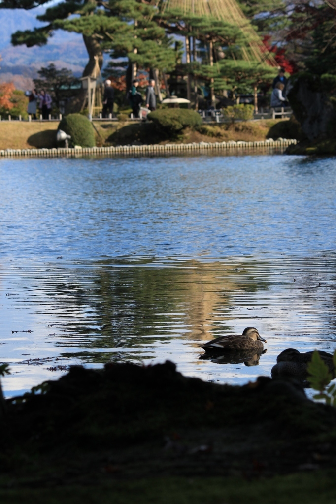 お昼寝