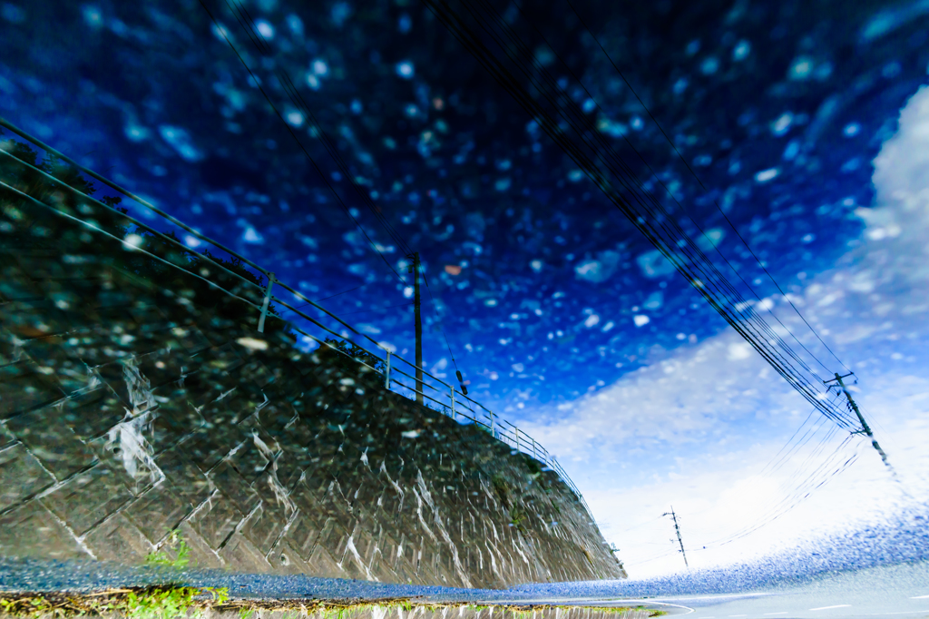 雨上がりの贈り物