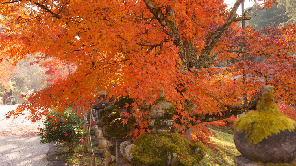 御調八幡宮⑥