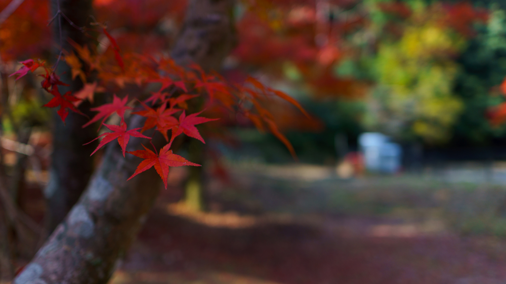 御調八幡宮②