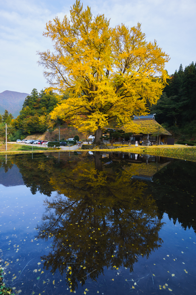 reflection As