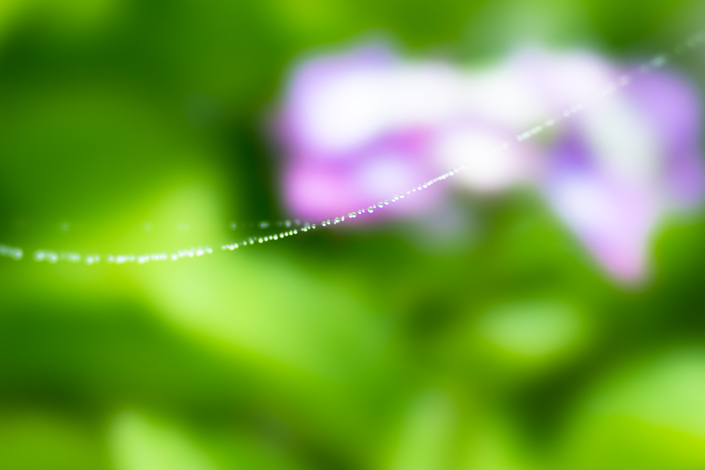 tightrope