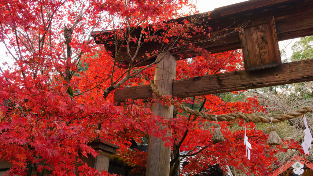 御調八幡宮①