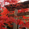 御調八幡宮①