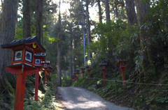 参拝道