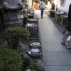 京都散策