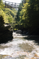 蔓橋