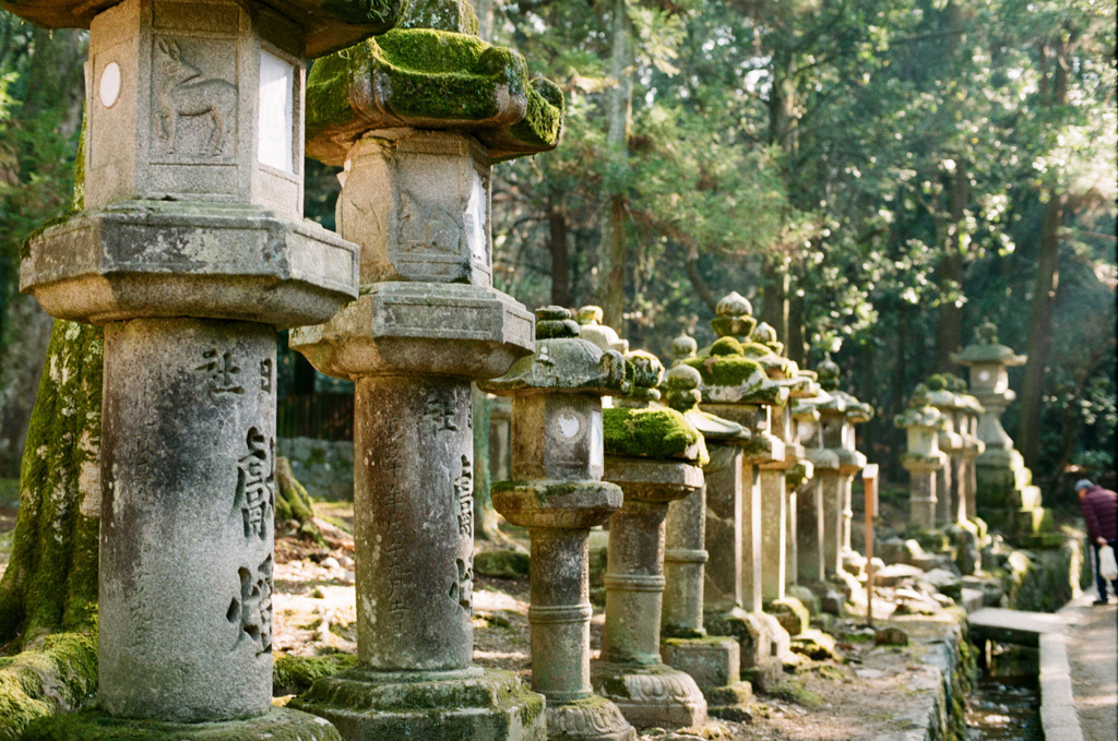 春日大社表参道