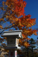 片隅の紅葉