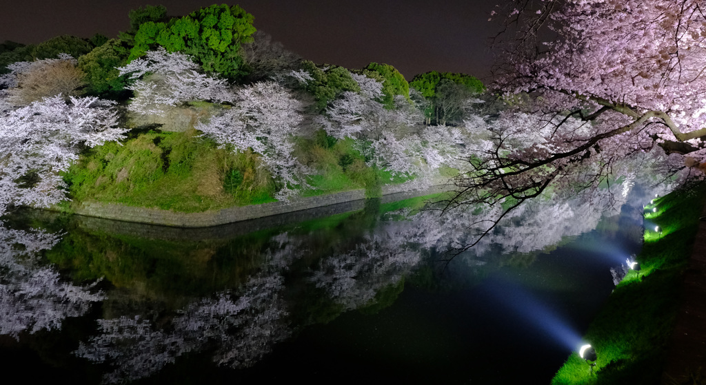 夜さくら・千鳥ヶ淵　Ⅲ