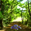 散歩