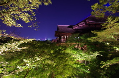 清水の舞台