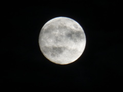 １０月の今日のお月様