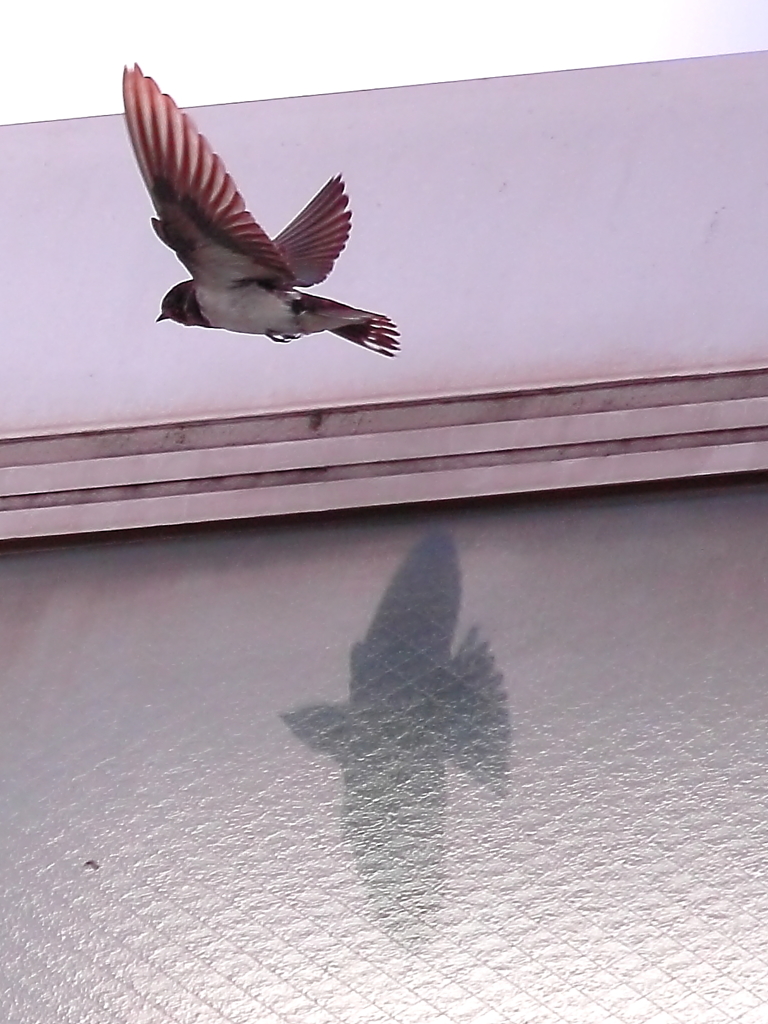 今更いやまだまだ40D