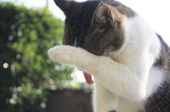 やべー