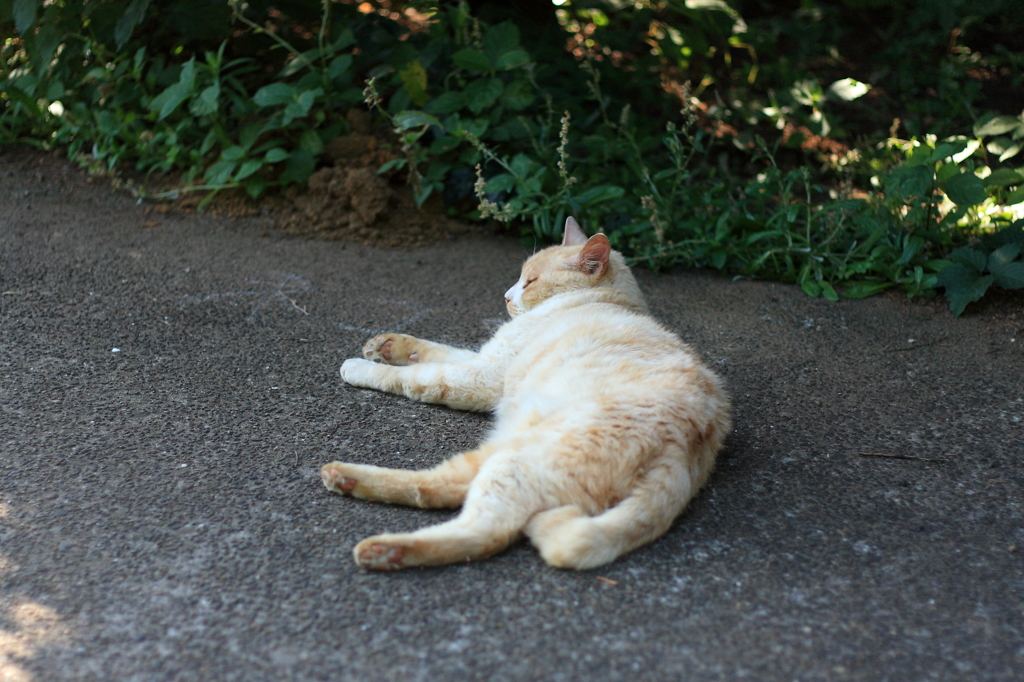 休みの日