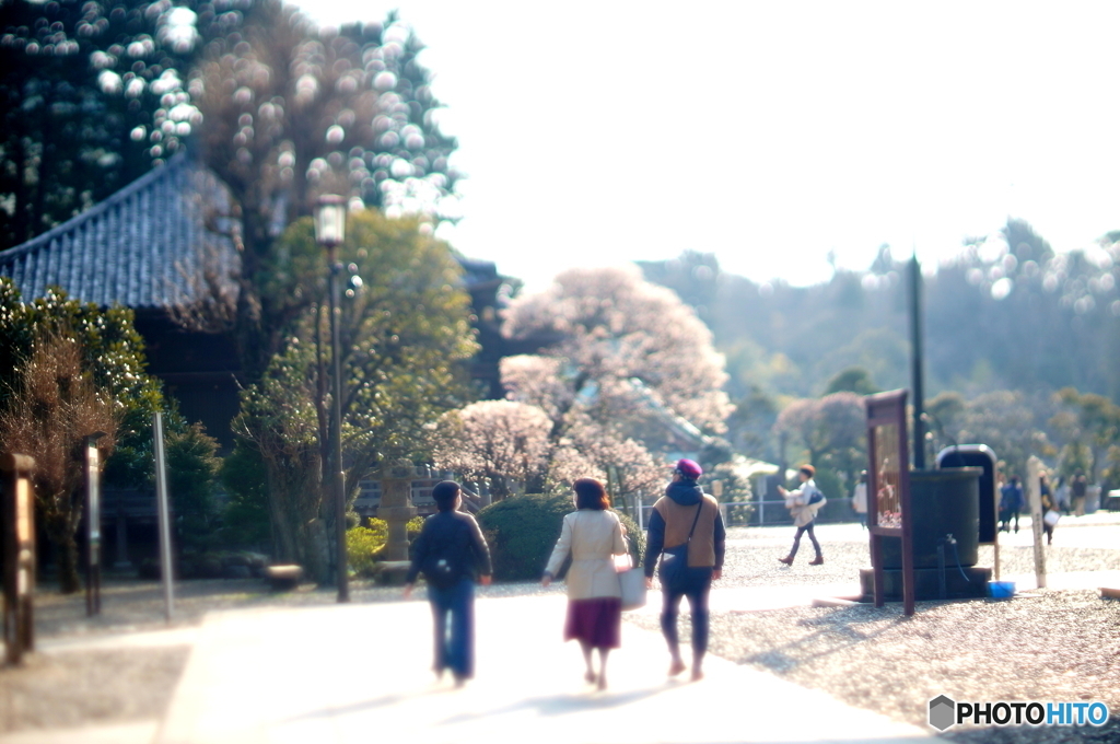 成田公園で散歩