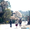 成田公園で散歩