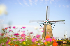 お花畑