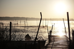 印旛沼の静かな朝