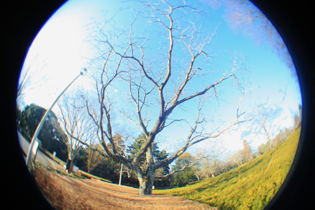 まあるいセカイ