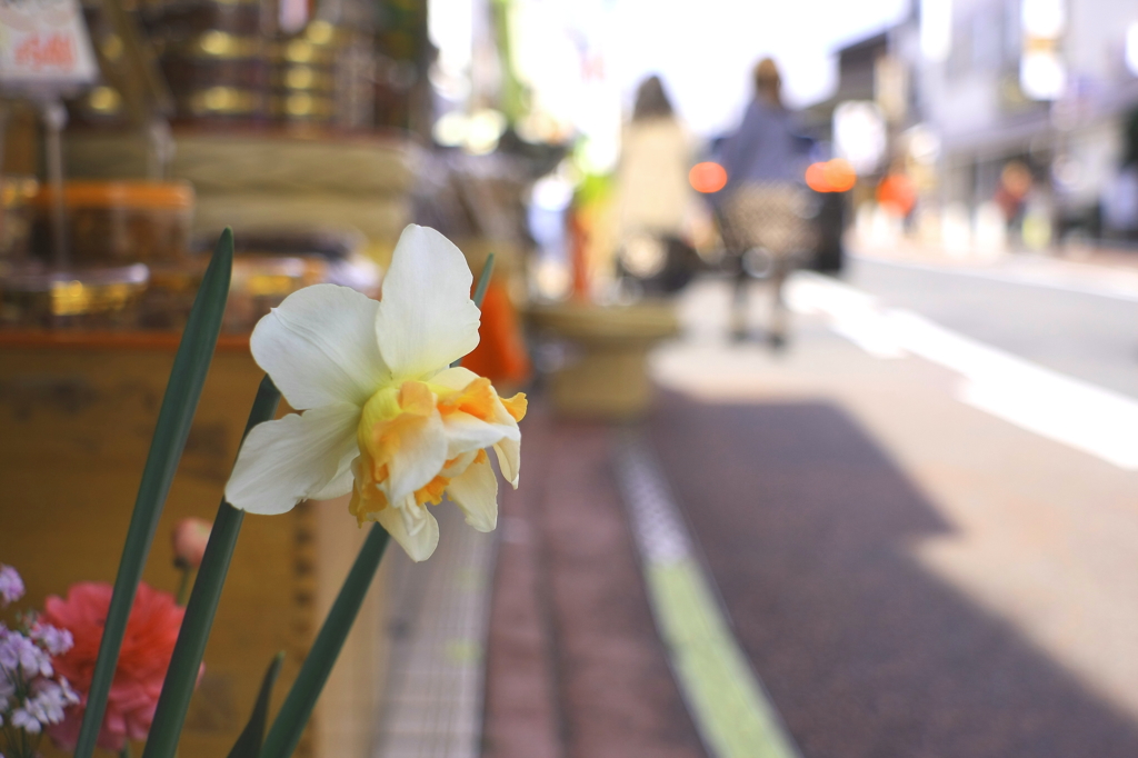 成田山表参道