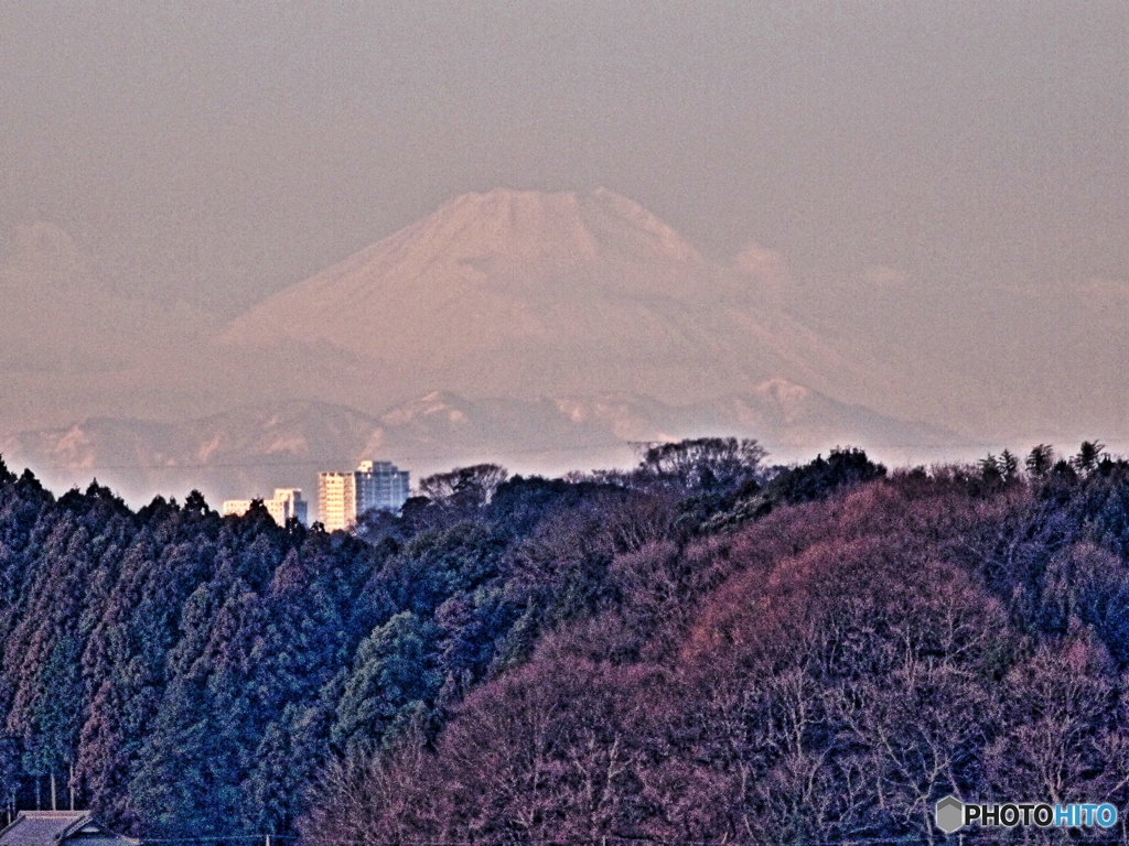 印旛からみた富士