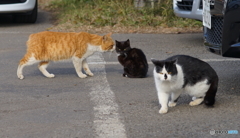 お前よく聞けよ。いつもうるせい奴だな、俺は退散するよ。