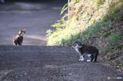 寄り道しないで・・・・