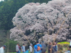 夢のよう