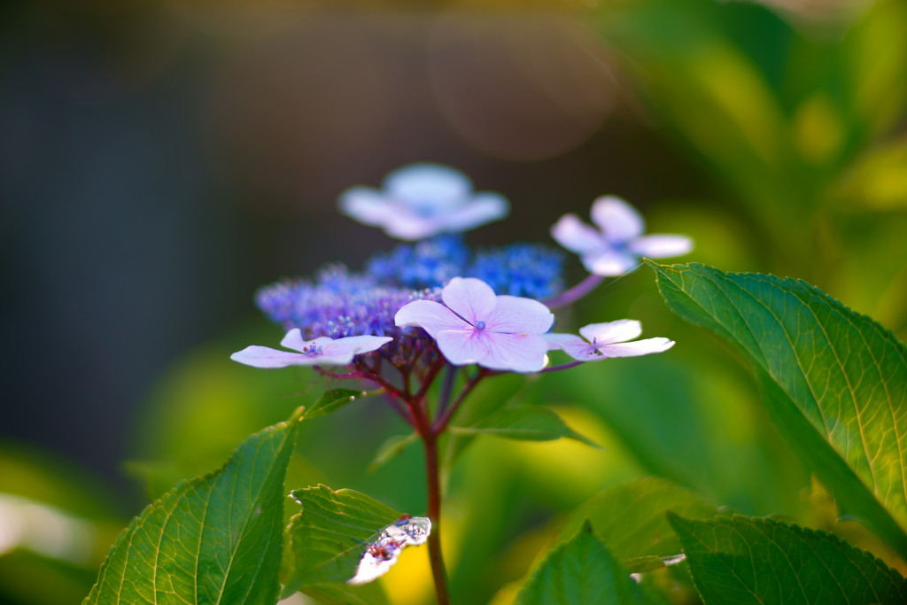 やってしもうた、むりやりマシンで