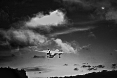 飛べフェニックス（タイトル変更）