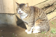 また逢えたね