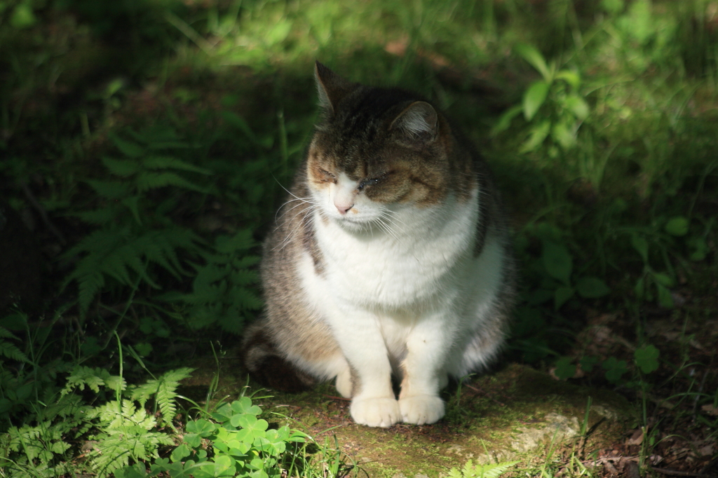 君がいてこそ
