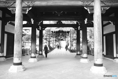 成田山 成田山