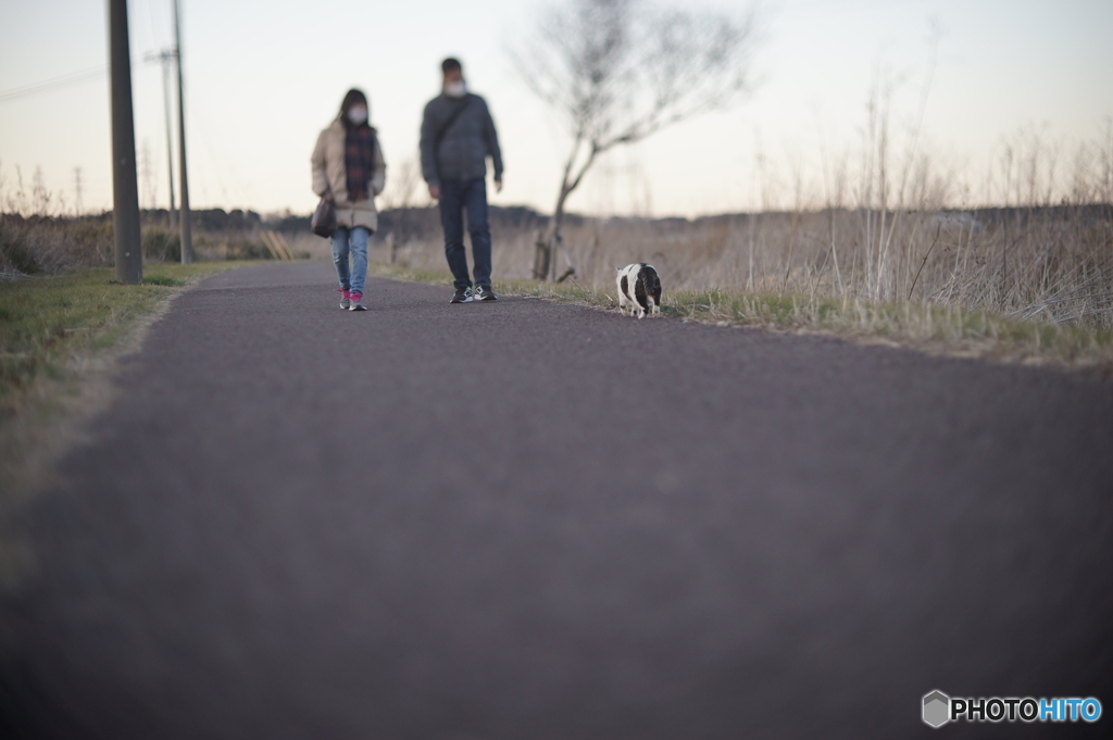 冬の散歩道