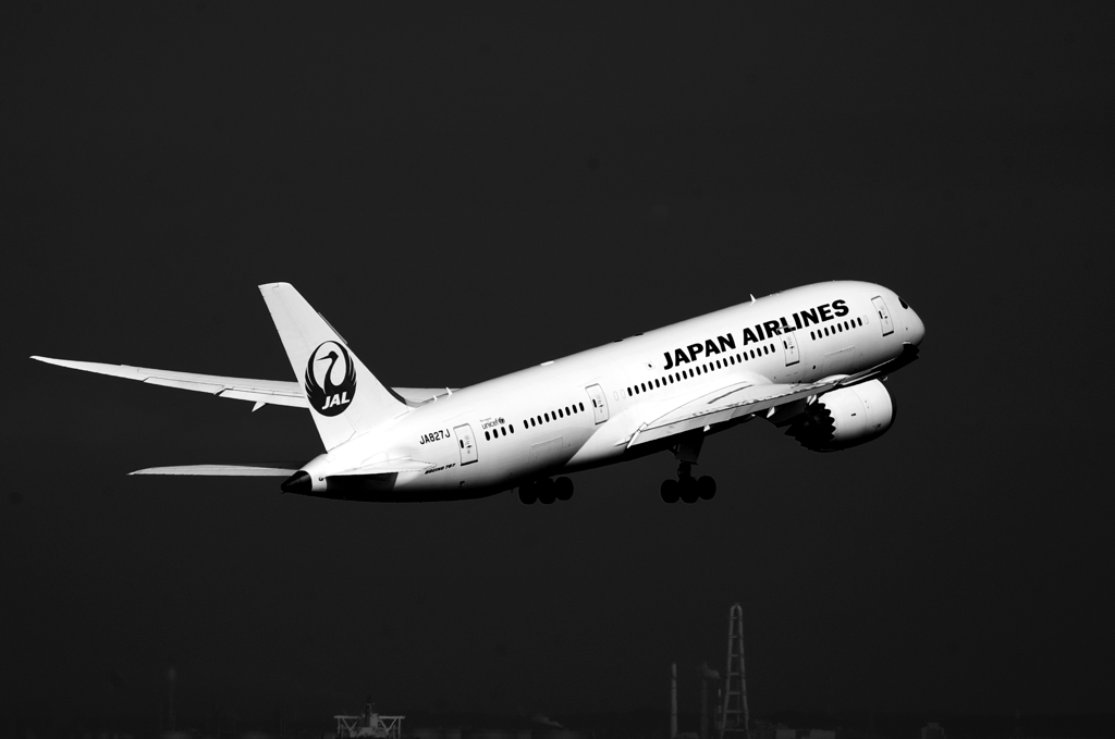 JAL B787
