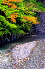 野洲川