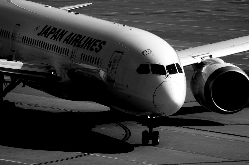 JAL B787