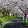 千本桜のあるまち Ⅳ