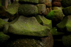 苔生す寺に...