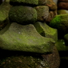 苔生す寺に...