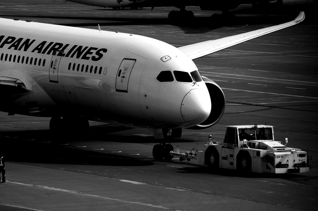 JAL B787