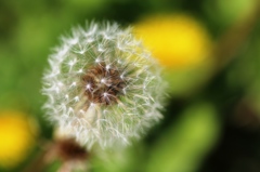 まもなく離陸か？